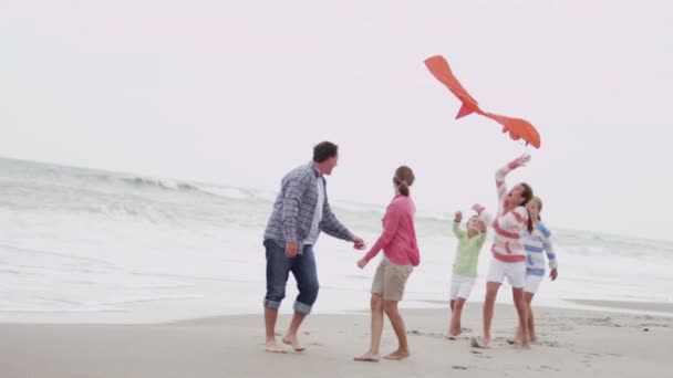 Family with flying kite on beach — Stock Video