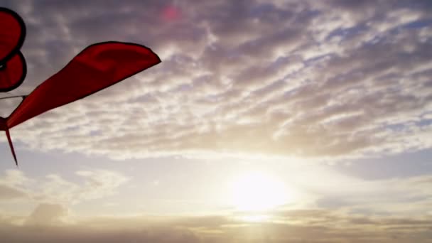 Flying kite met spiraal staart — Stockvideo