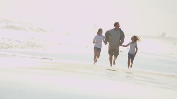 Far med döttrar leker på stranden — Stockvideo