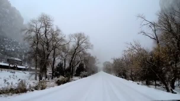 Дорога с падающим снегом — стоковое видео