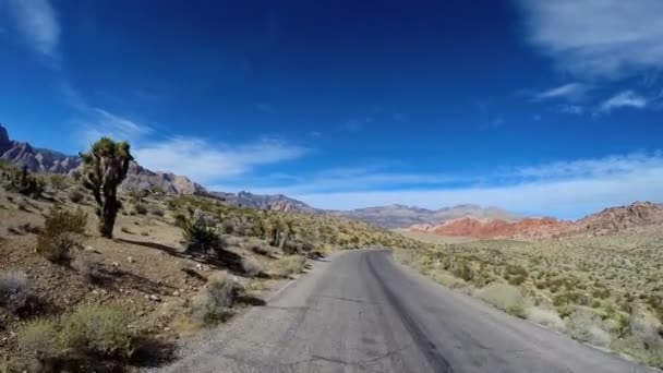 Reis door Red Rock Canyon — Stockvideo