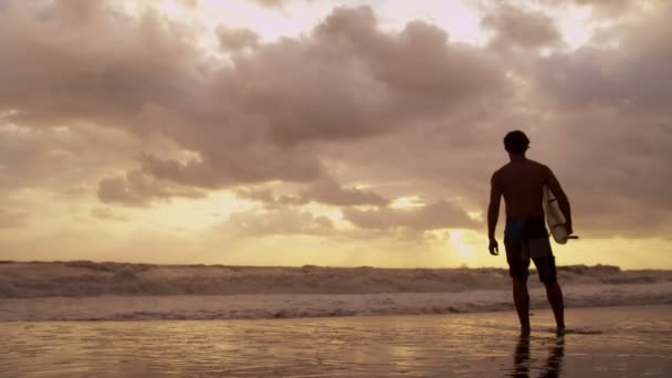 Surfista en la playa viendo olas — Vídeo de stock