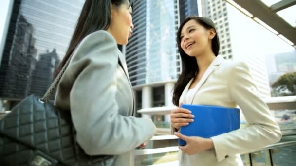 Vrouwelijke ondernemers ontmoeten en handshaking — Stockvideo