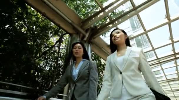 Businesswomen walking near office buildings — Stock Video