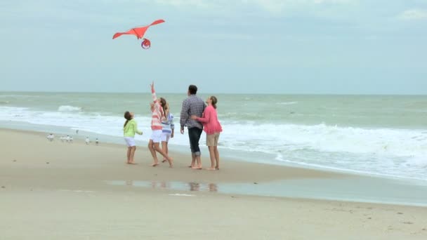 Familia con cometa en la playa — Vídeo de stock