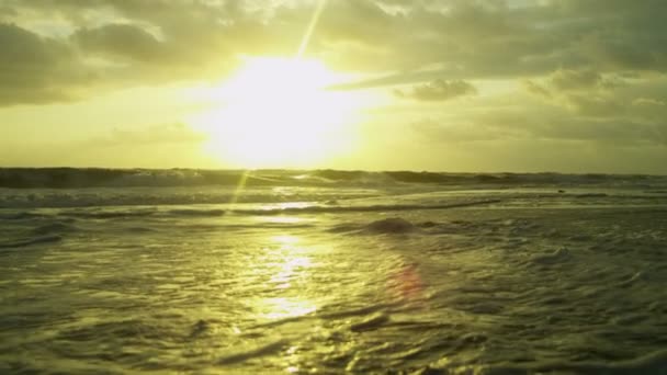 Golden sunset over ocean waves — Stock Video