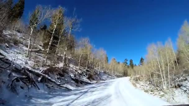 Reis door schilderachtige landschap — Stockvideo