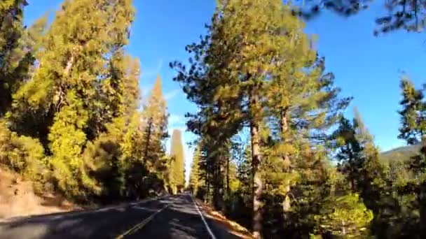 Sonora Pass Wilderness area — Stock Video