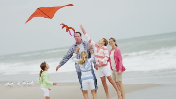 Family with flying kite on beach — Stock Video