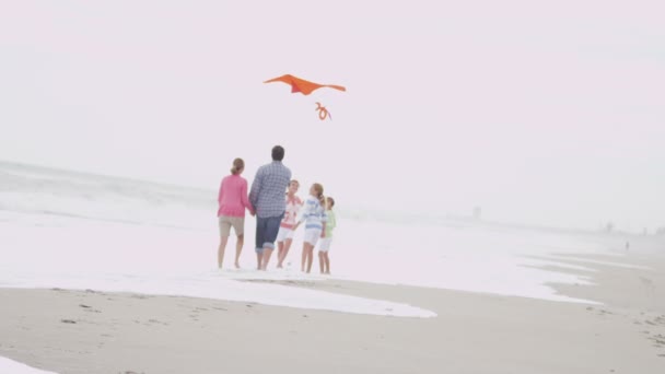 Familj med flyga drake på stranden — Stockvideo