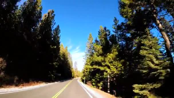 Condução através da montanha Sonora Pass — Vídeo de Stock