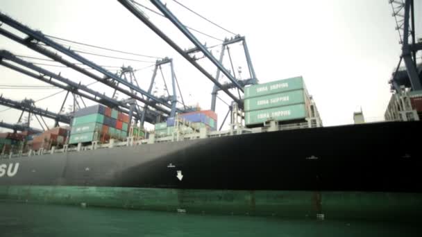 International shipping Terminal — Stock Video
