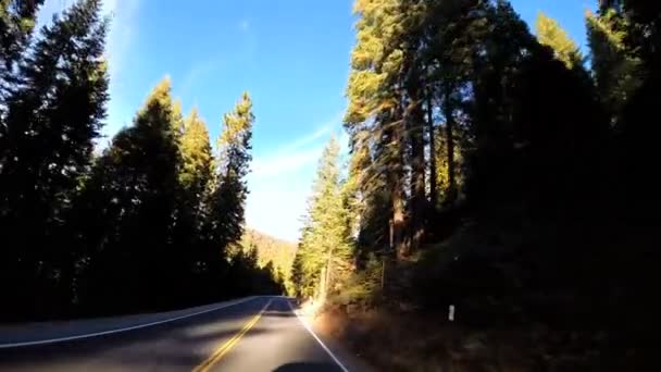 Condução através da montanha Sonora Pass — Vídeo de Stock