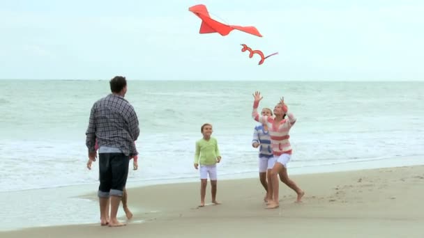 Familj med drake på stranden — Stockvideo