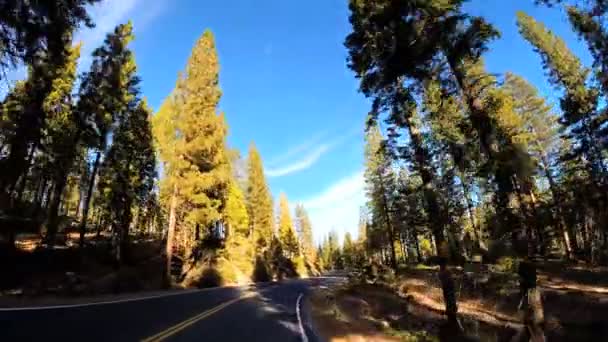 Condução através da montanha Sonora Pass — Vídeo de Stock