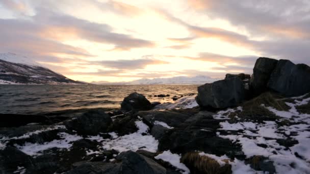 Vågor på strandlinjen på vintern — Stockvideo