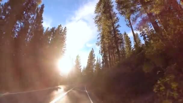 Jadąc przez góry Sonora Pass — Wideo stockowe