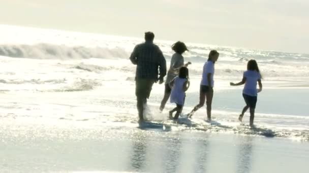 Filles avec des parents sur la plage — Video