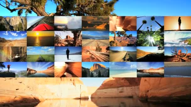 Montage of wild nature travel scene — Stock Video