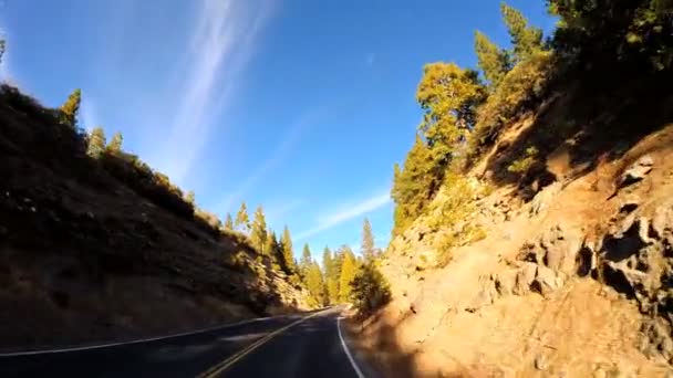 Condução através da montanha Sonora Pass — Vídeo de Stock