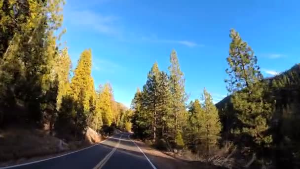 Condução através da montanha Sonora Pass — Vídeo de Stock