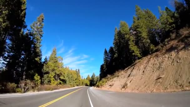 Condução através da montanha Sonora Pass — Vídeo de Stock