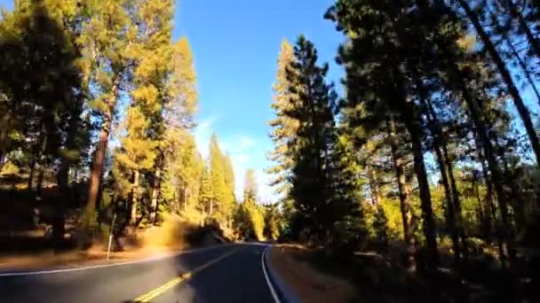 Condução através da montanha Sonora Pass — Vídeo de Stock