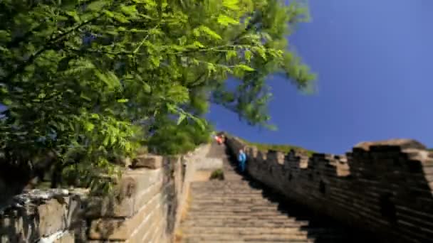 The Great Wall of China — Stock Video