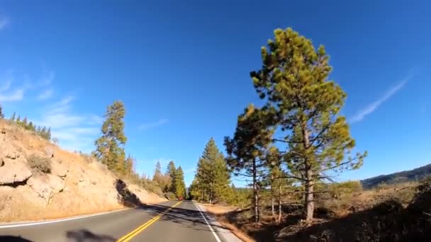 Viaje por carretera a través de Sonora Pass — Vídeo de stock