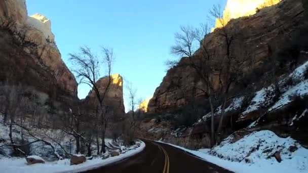 Vezetés a Zion Nemzeti Park — Stock videók