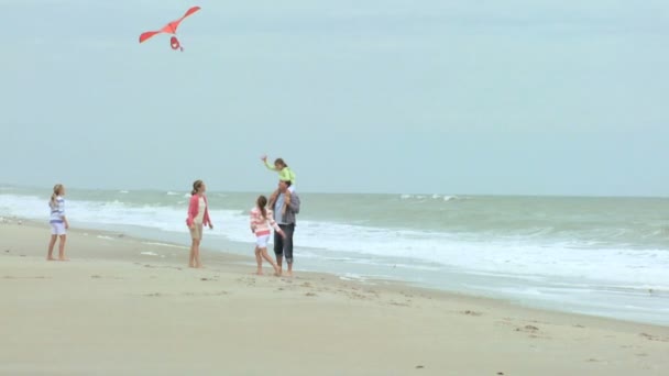 Family with kite on beach — Stock Video