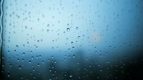 Gotas de lluvia en vidrio de ventana — Vídeo de stock