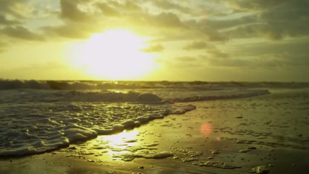 Golden sunset over ocean waves — Stock Video