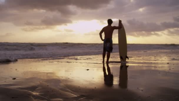 看着海浪的海滩上的冲浪者 — 图库视频影像