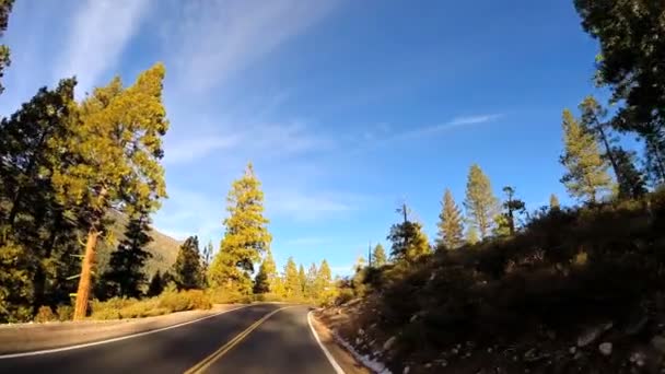 Sonora 산악 패스를 통해 운전 — 비디오