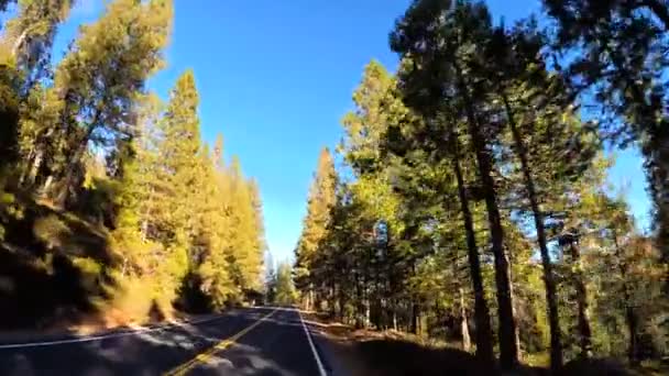 Jadąc przez góry Sonora Pass — Wideo stockowe