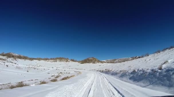 Rijden door middel van het Nationaal Park Zion — Stockvideo