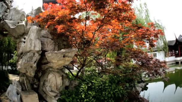 Jardín templo de Chenghuang Miao — Vídeo de stock