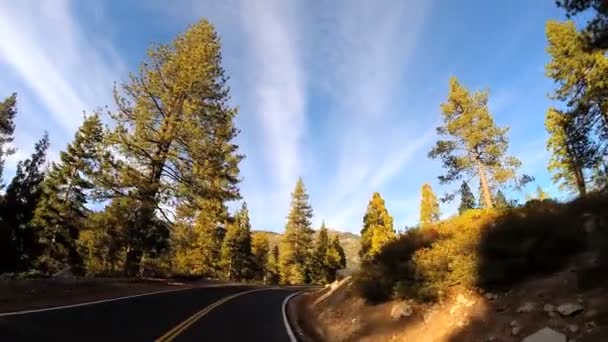 Driving through Sonora mountain Pass — Stock Video