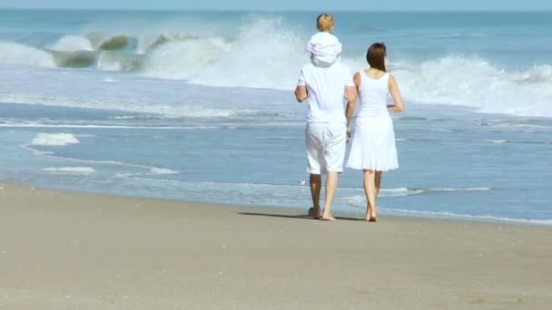 Parents avec bébé marchant sur la plage — Video