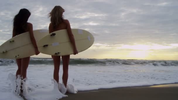 Девушки держат доски для серфинга на пляже — стоковое видео