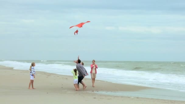 Familj med drake på stranden — Stockvideo