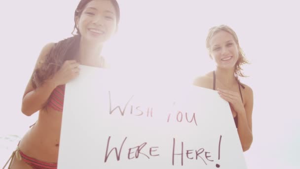 Chicas en bikini con tablero de mensajes — Vídeo de stock