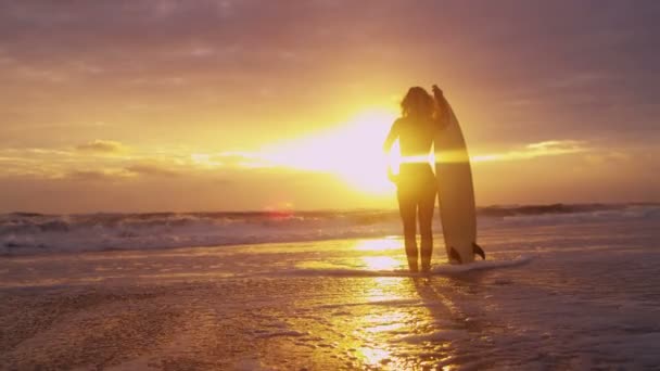 Donna in spiaggia al tramonto — Video Stock