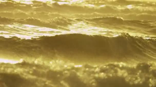 Golden sunset over ocean waves — Stock Video