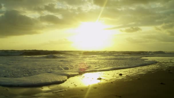 Golden sunset over ocean waves — Stock Video