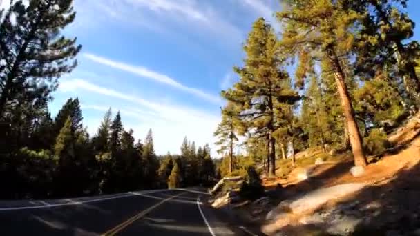 Condução através da montanha Sonora Pass — Vídeo de Stock