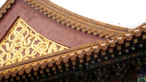 Decorated ancient building Forbidden City — Stock Video