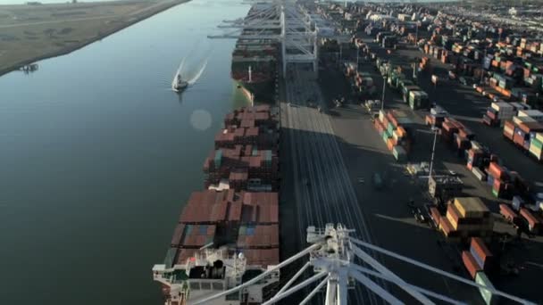 Orificio del contenitore Docks Oakland estuario — Video Stock