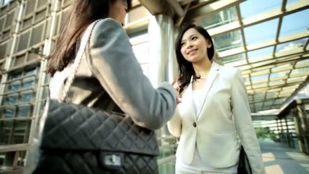 Açık havada toplantı sahip iş kadınları — Stok video